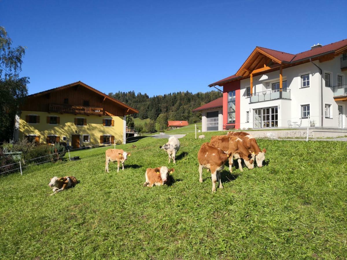 Fitzlhof Apartment Sankt Koloman Bagian luar foto